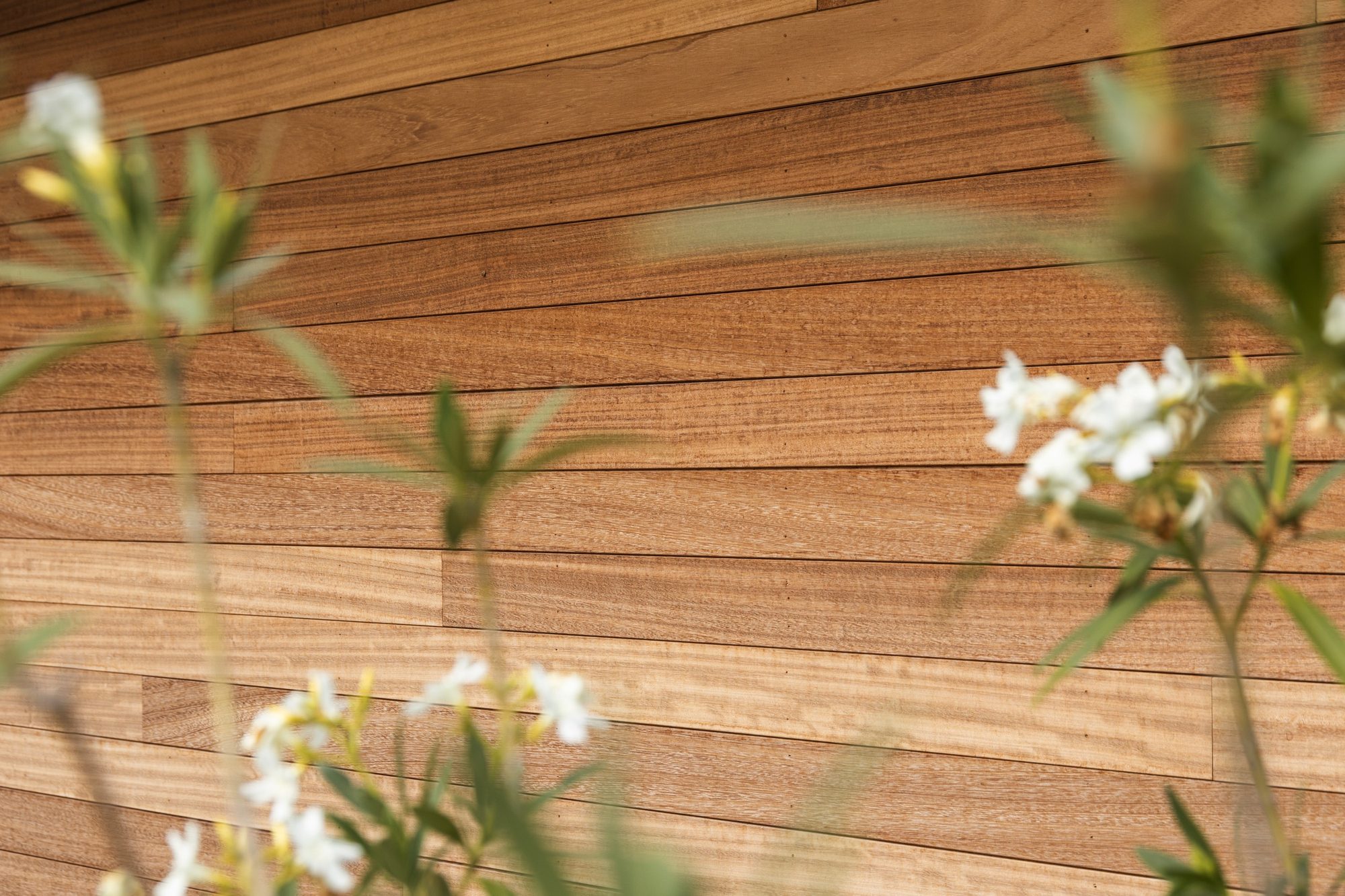 Paroi en bois iroko