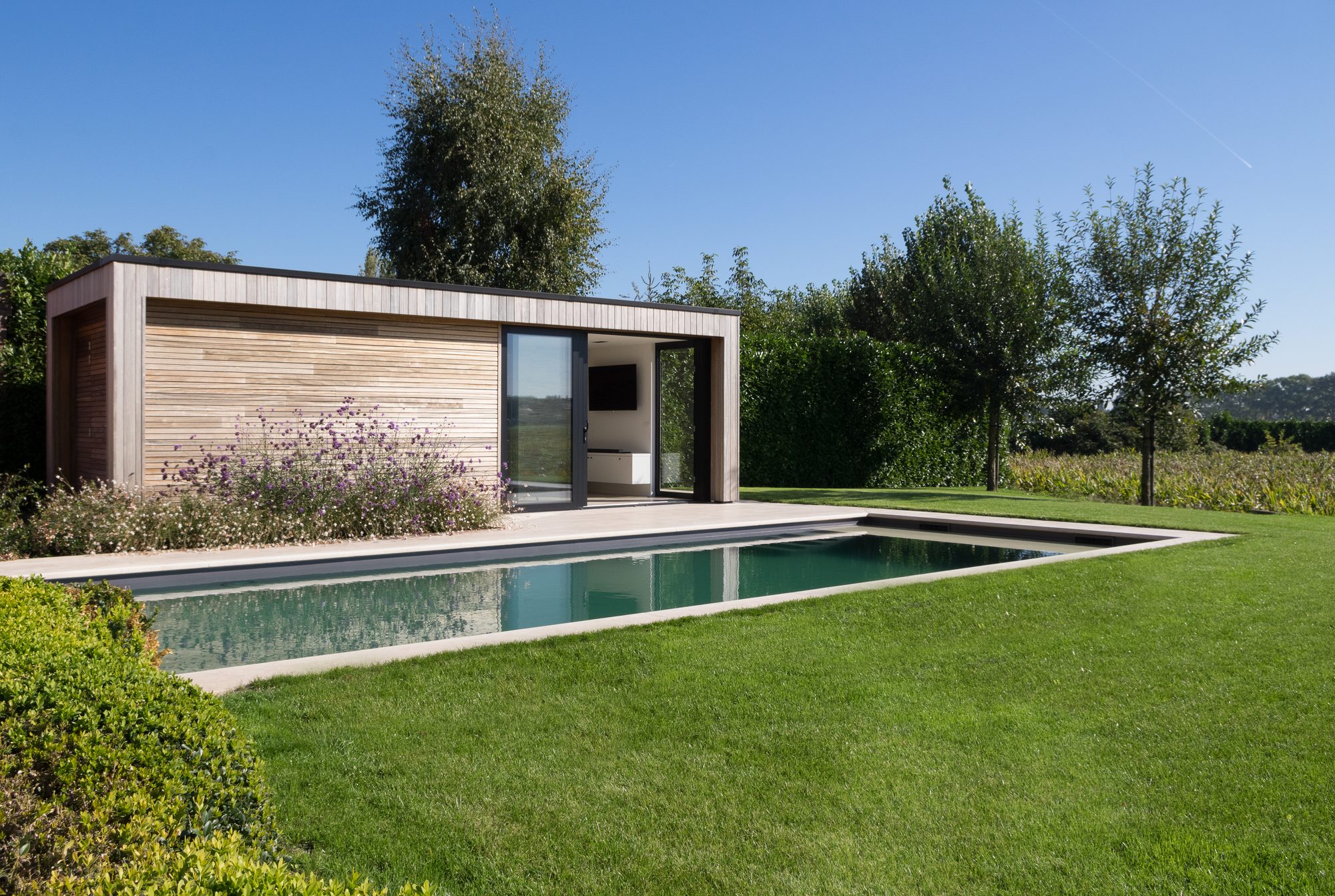 Pool house en bois