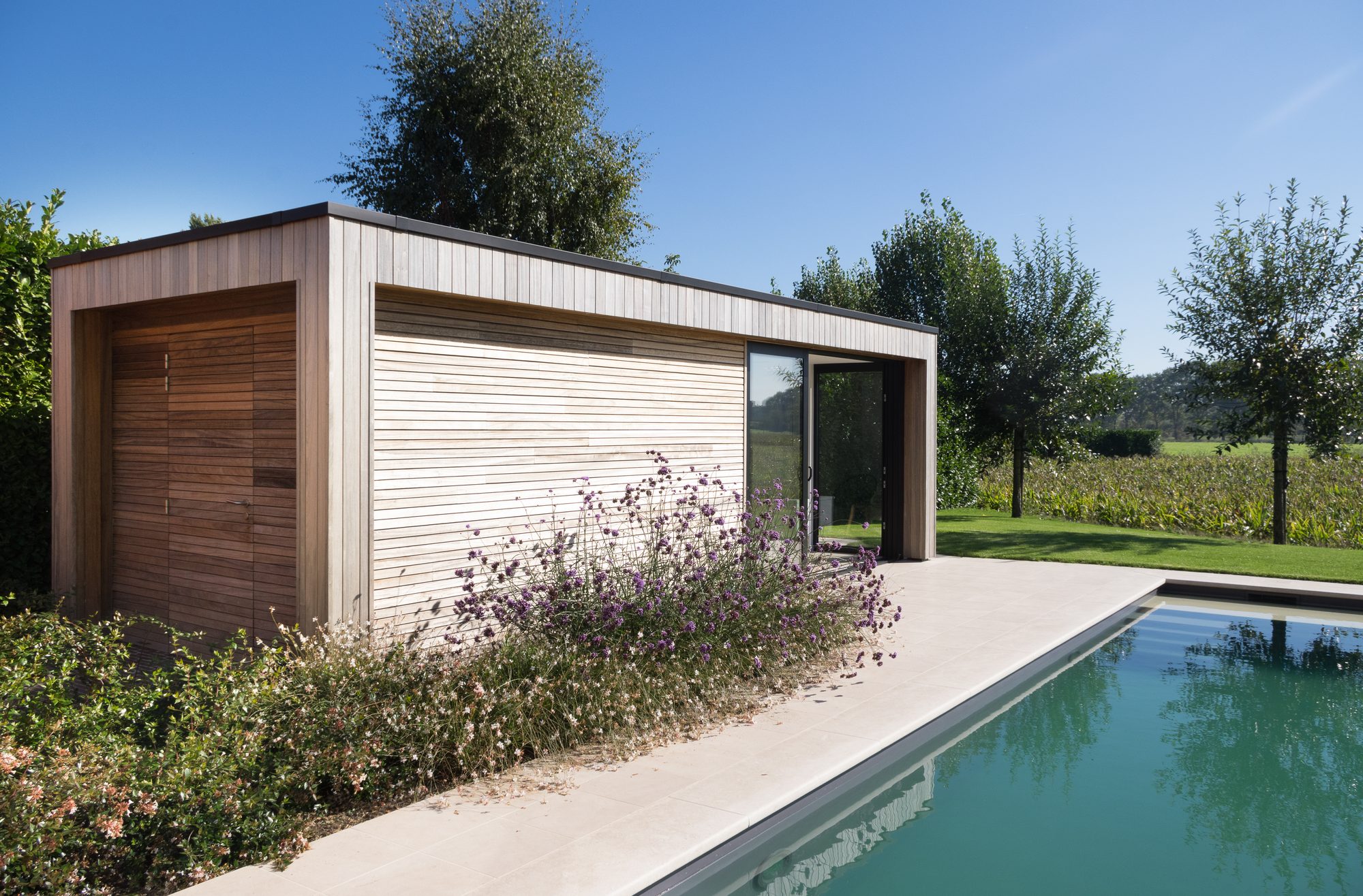 Pool house en bois