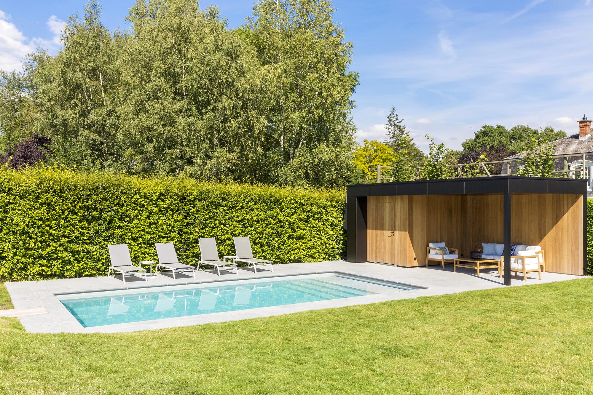 Poolhouse met berging in irokohout, achterwand in irokohout en luifel in trespa