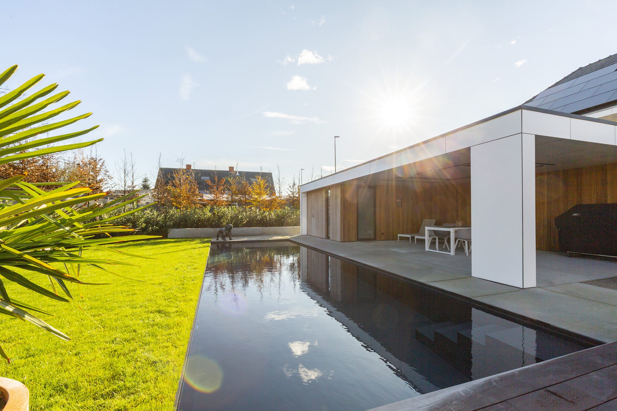 Pool house moderne