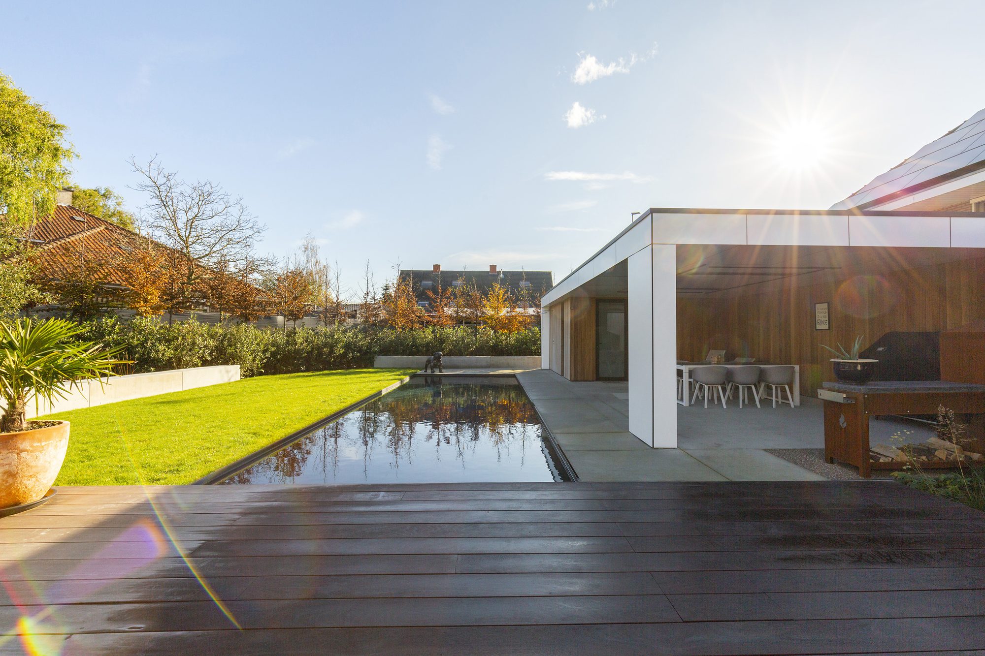 Jardin avec étang et abri de piscine