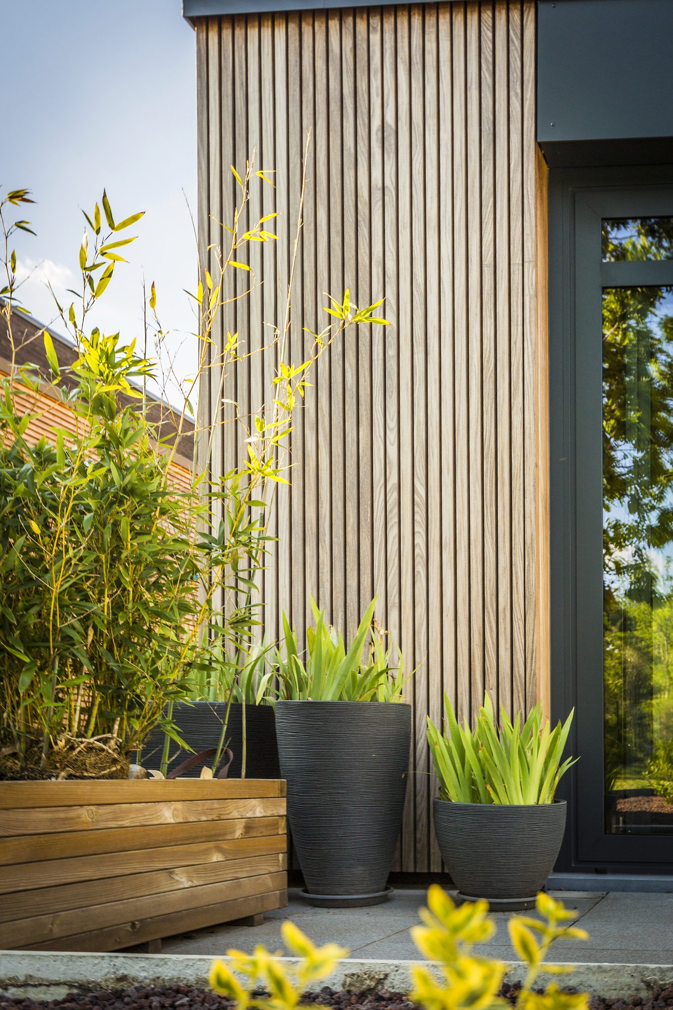 Lattes de finition en Afrormosia d'une extension de maison en alu