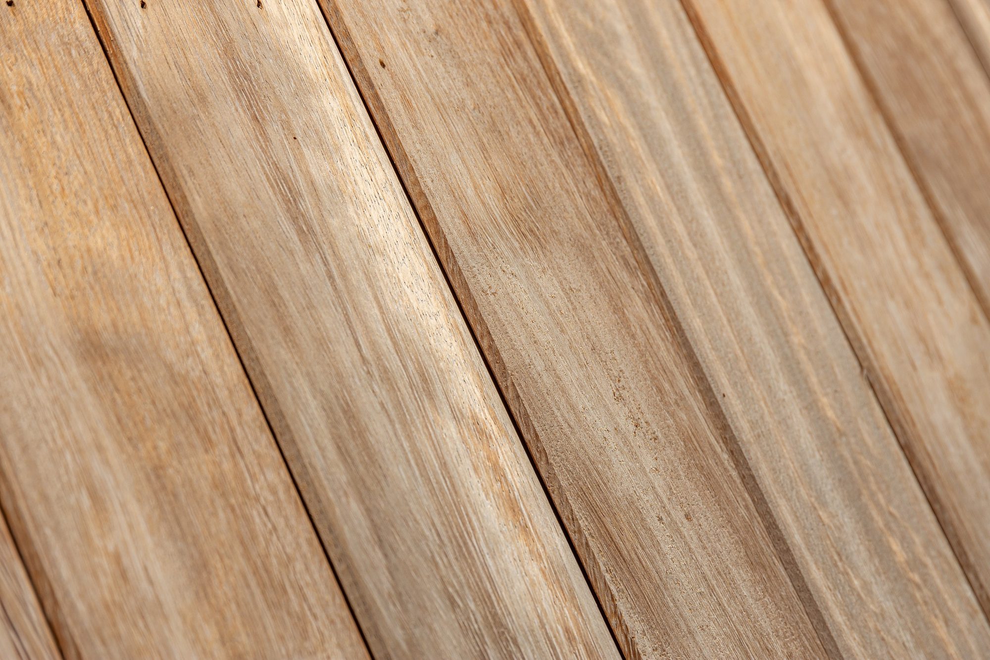 Paroi en Iroko d'un Pool house moderne