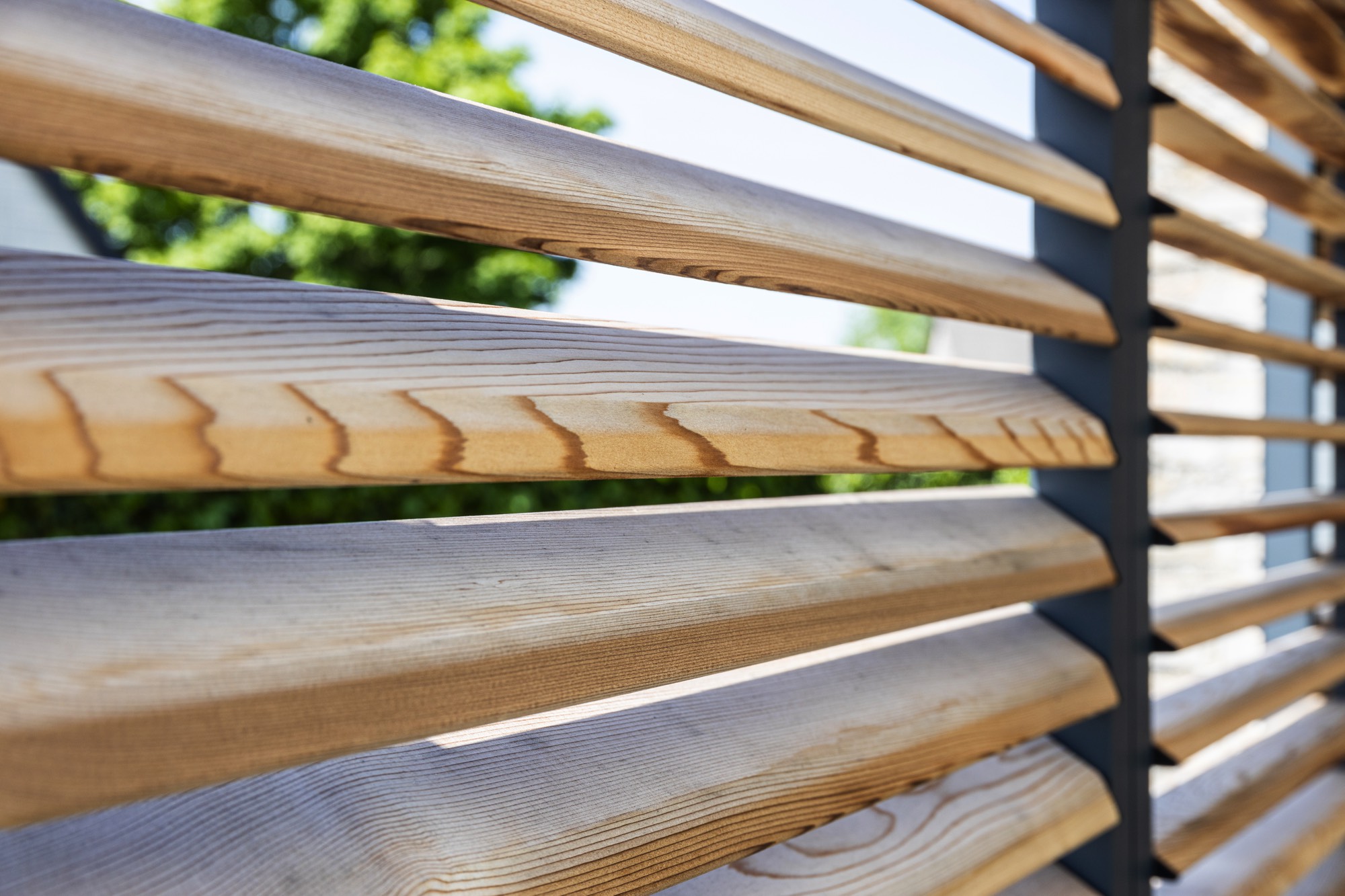 Loggiawood Privacy Western Red Cedar