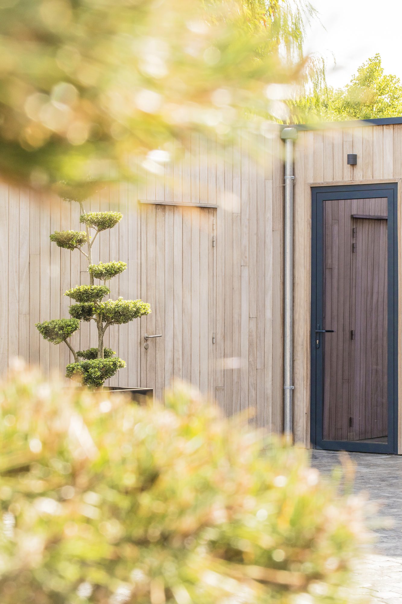 Extension en bois avec portes en aluminium et en bois