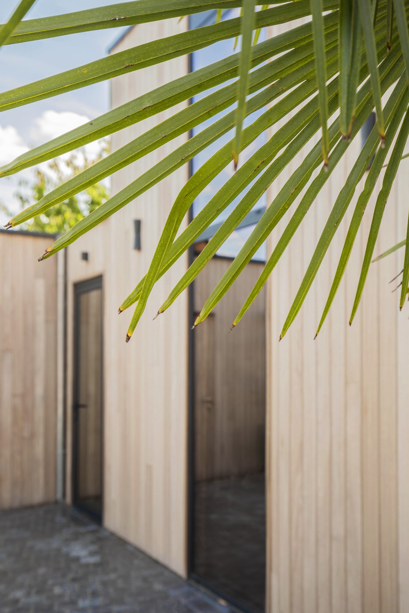 Extension en bois avec fenêtres en aluminium