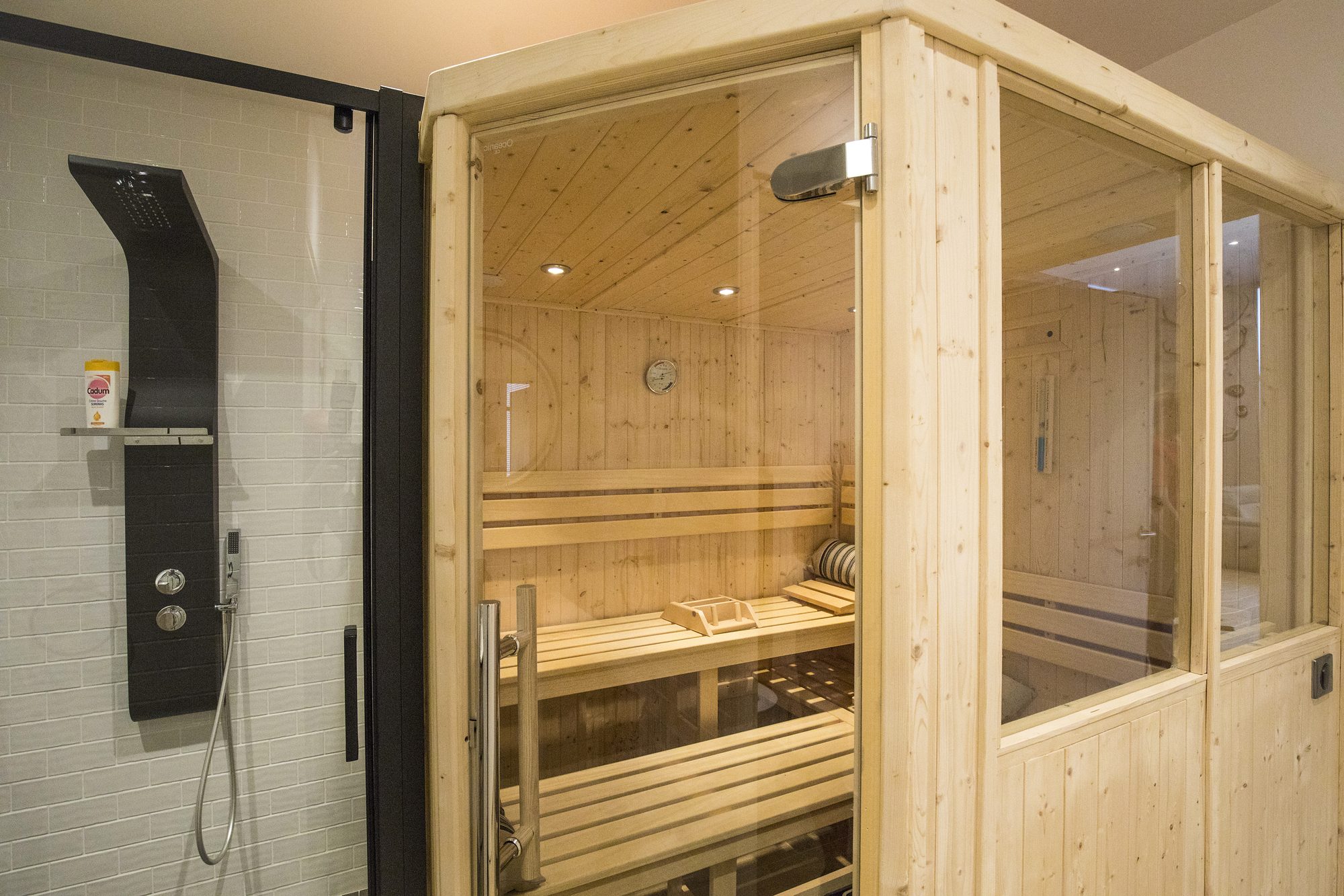 Sauna et douche dans une extension