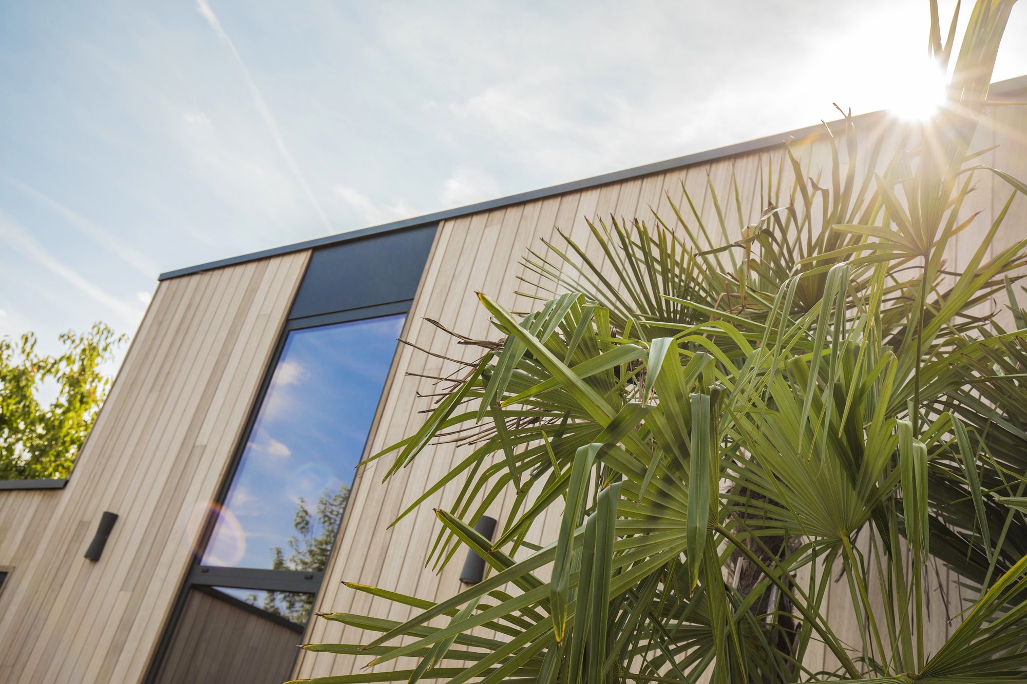 Extension en bois avec menuiserie en aluminiium