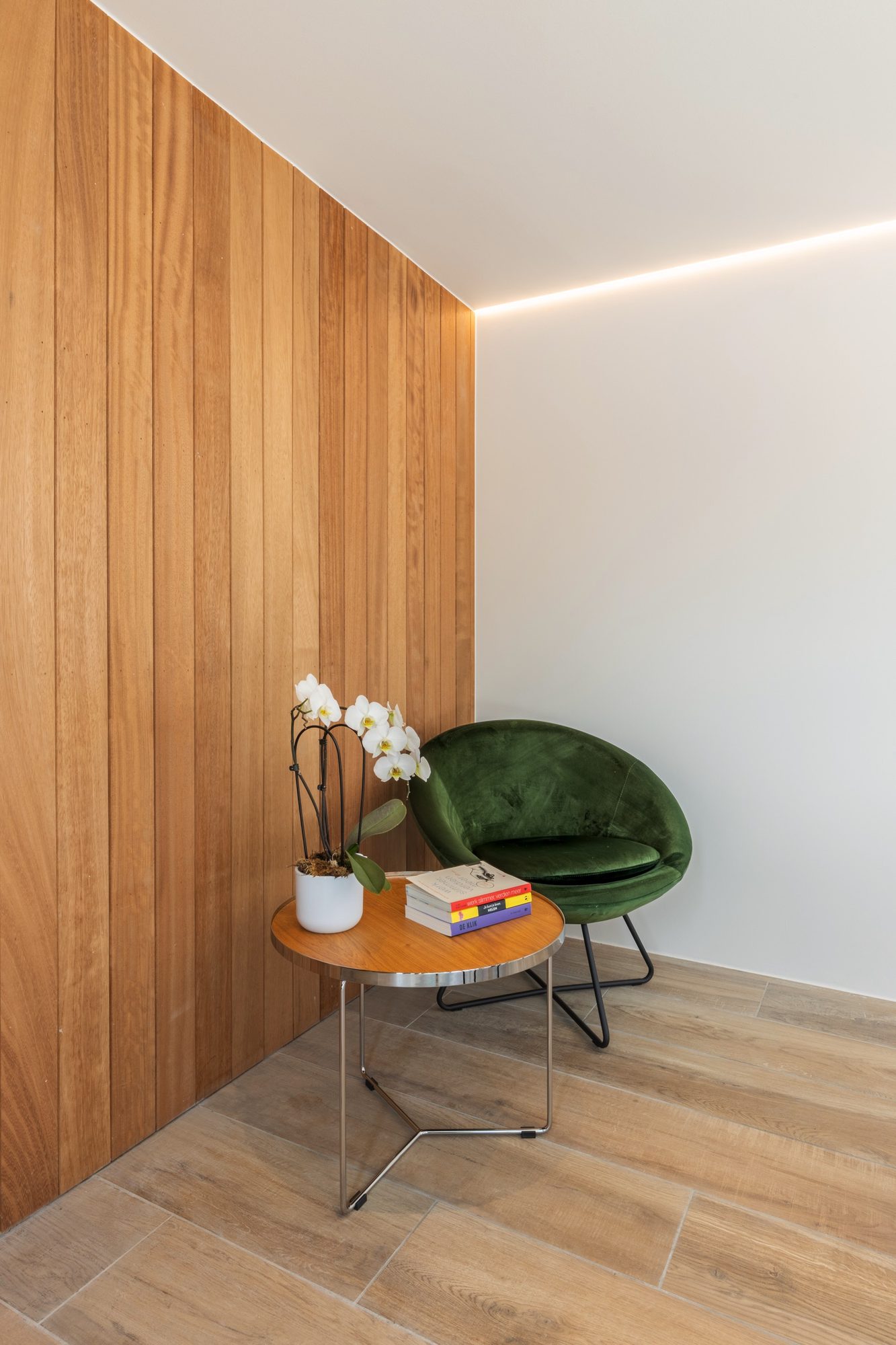 Bureau de jardin avec éclairage LED et paroi en bois iroko