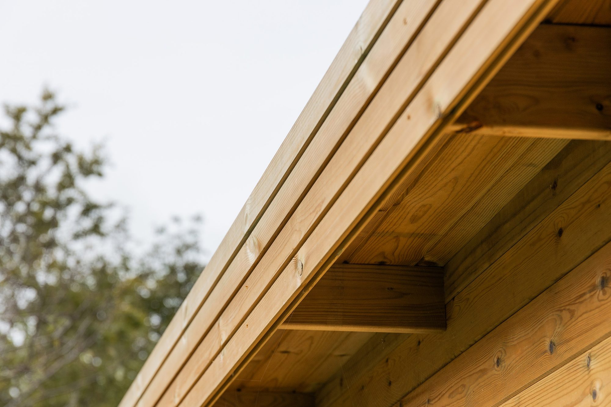 Bandeau en bois Sapin Rouge du Nord