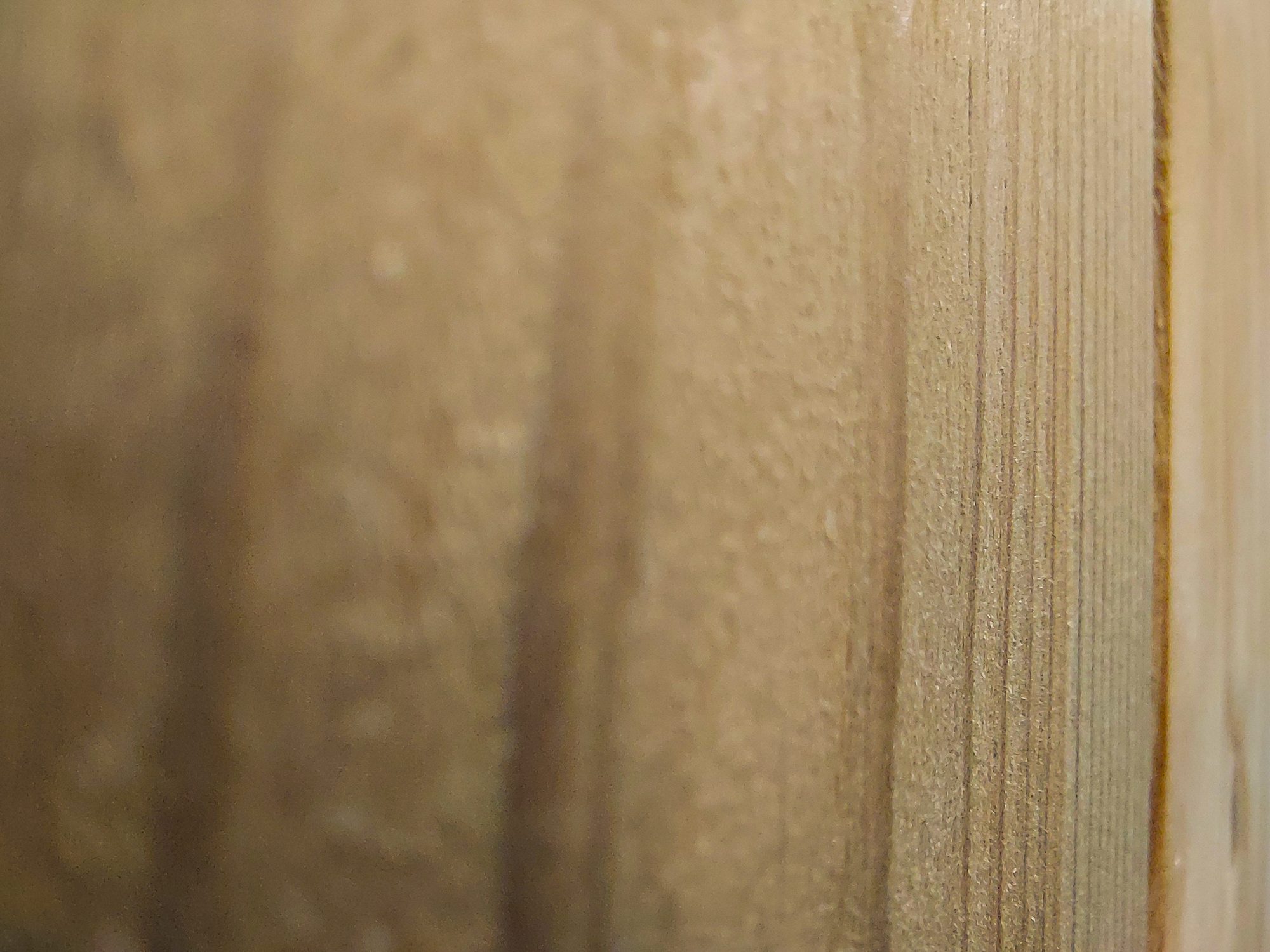 Abri de jardin classique en bois imprégné