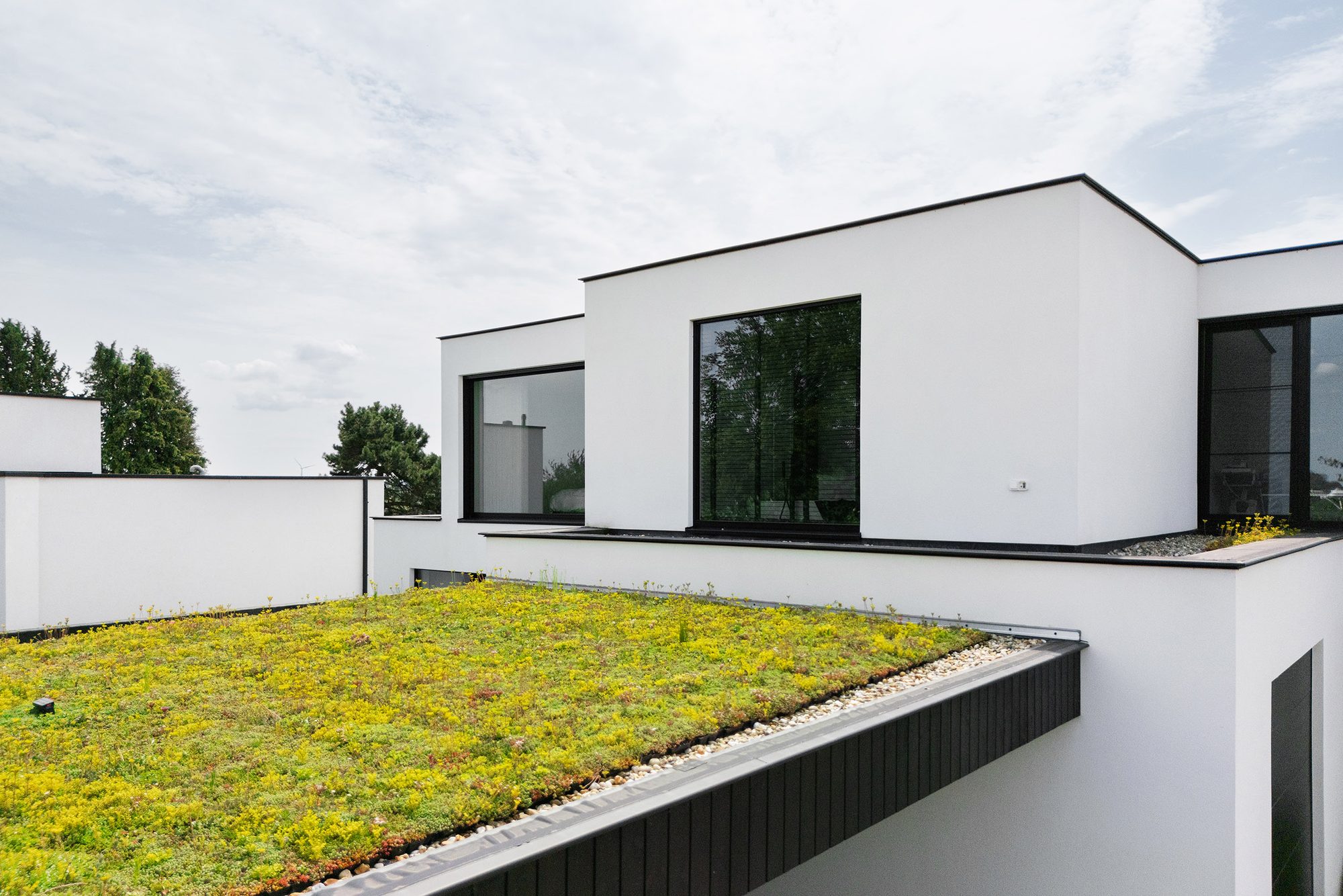 Carport met groendak